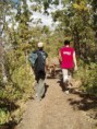 Caminar a diario